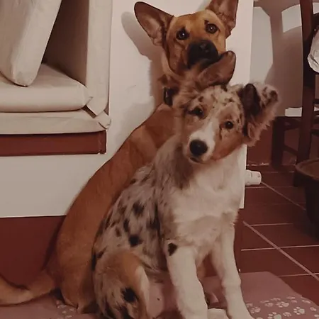 Aromi Di Casa Kır Evi